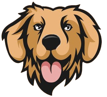 Golden Heart Retriever