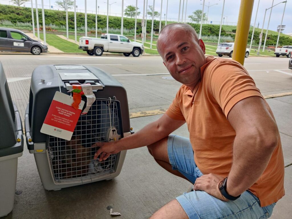 Local delivery