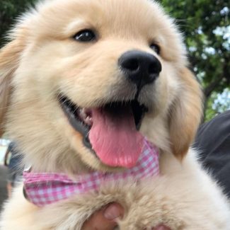 Cutie _ by @norby_bear Cutie _ by @norby_bear